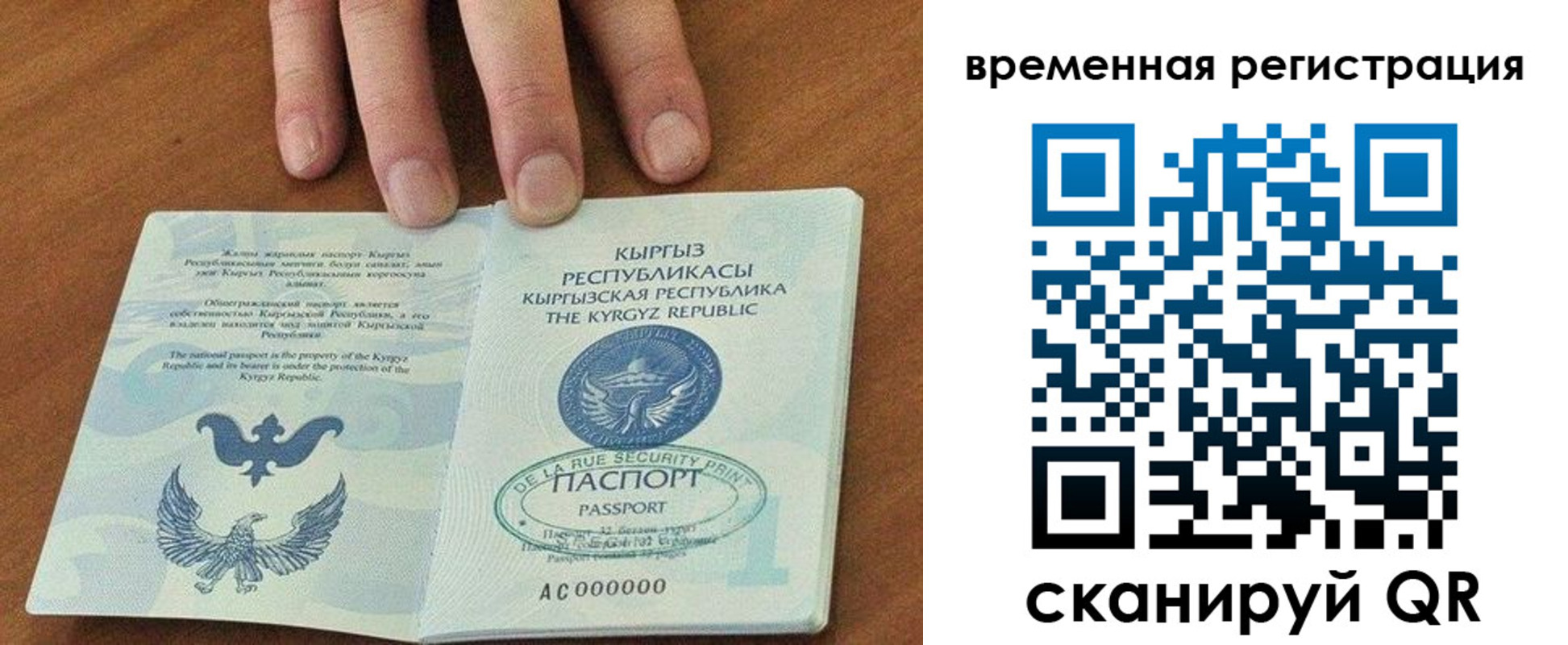 временная регистрация поиск в Моршанске